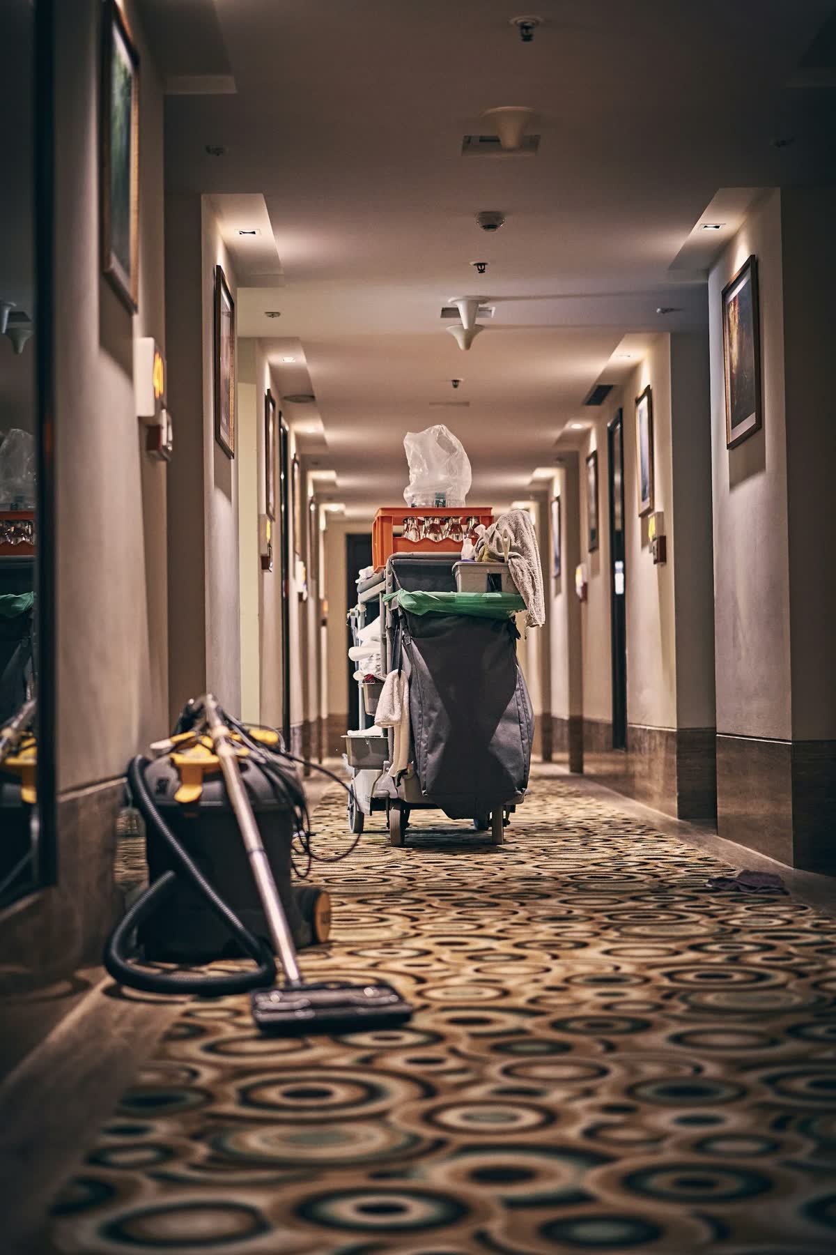 Trained and certified Magic Clean Whistler staff