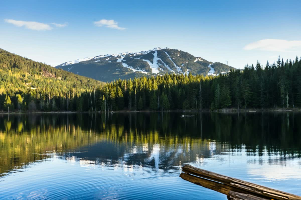 Bonded and insured Magic Clean Whistler cleaners